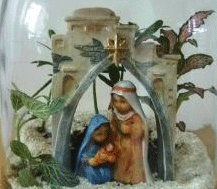 Nativity Terrariums