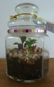 Small Terrarium
